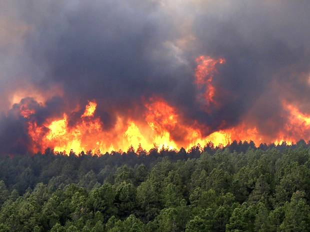 Legislação contra incêndios em florestas