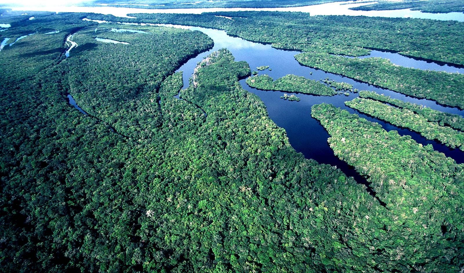 Quase três milhões de hectares de áreas protegidas podem ser anuladas pelos deputados do Amazonas