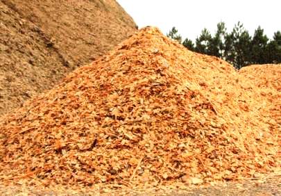 A Biomassa
