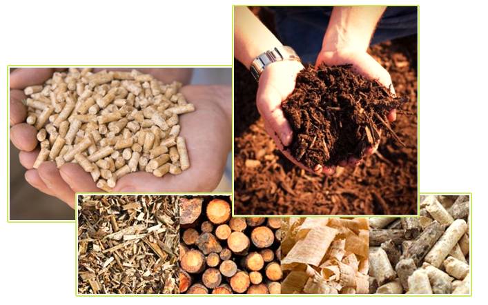 O uso de biomassa no Brasil pelo setor energético