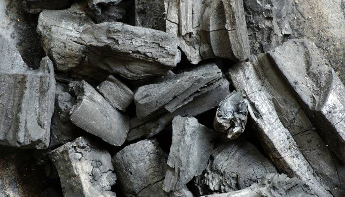 Produção de carvão vegetal ameaçada por questões ambientais.