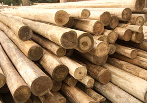 Previsões apontam cenário positivo para indústrias de molduras de madeira em 2017
