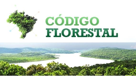 Regularização do Código Florestal é discutida em seminário no estado do Amazonas