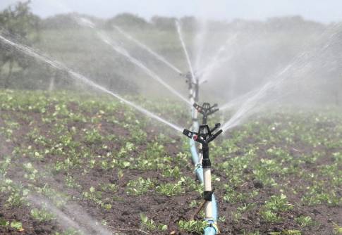 Você vai aprender na prática a aumentar os seus lucros com irrigação!